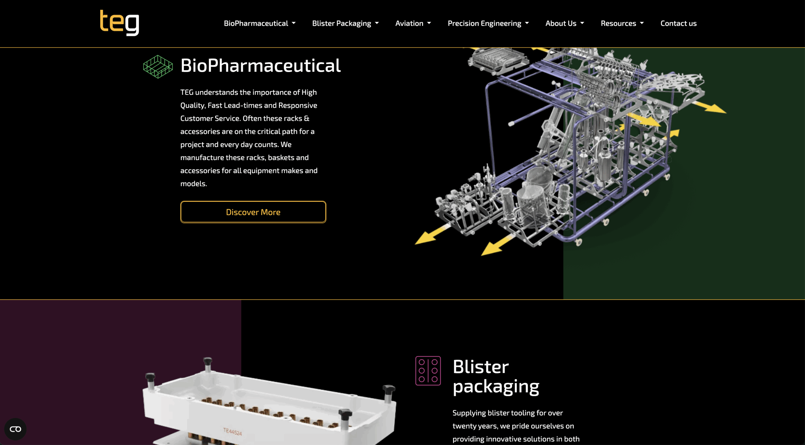 Screenshot of TEG website displaying Biopharmaceutical and Blister Packaging products